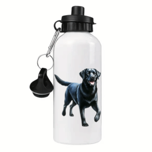 Labrador Retriever zwart