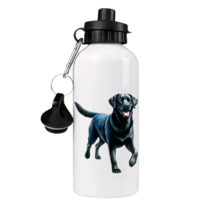 Labrador Retriever zwart