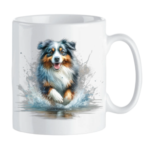 Australian Shepherd grijs